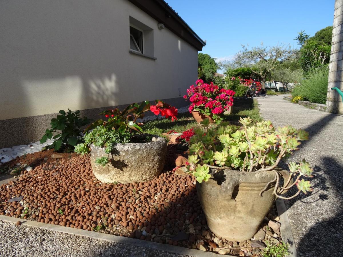 Apartma Na Trati Izola Exterior photo